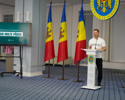 Министр окружающей среды Молдовы анонсировал реформу агентства Moldsilva и объединение лесхозов