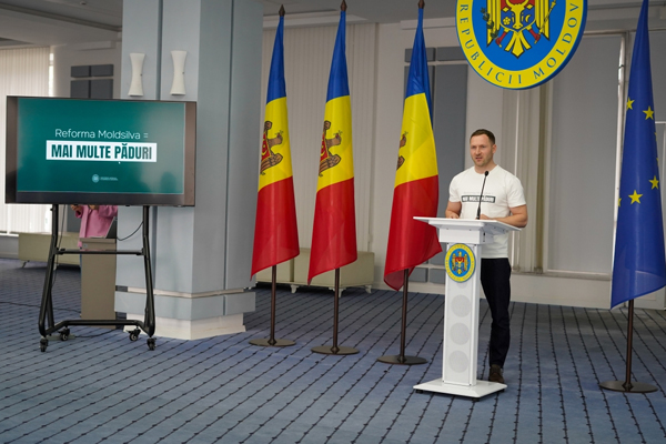 Министр окружающей среды Молдовы анонсировал реформу агентства Moldsilva и объединение лесхозов