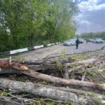 Полиция Молдовы информирует о происшествиях вследствие сильного ветра