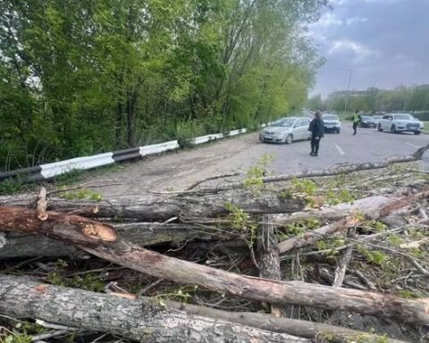 Полиция Молдовы информирует о происшествиях вследствие сильного ветра