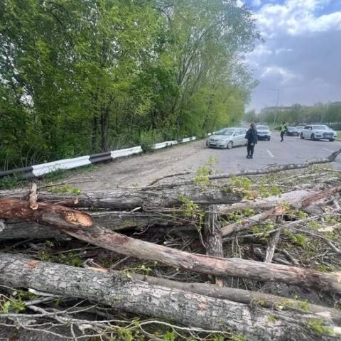 Полиция Молдовы информирует о происшествиях вследствие сильного ветра