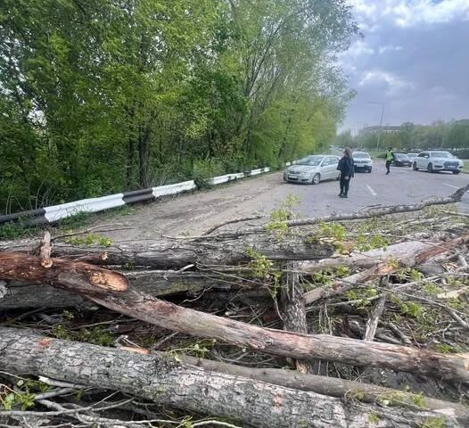 Полиция Молдовы информирует о происшествиях вследствие сильного ветра