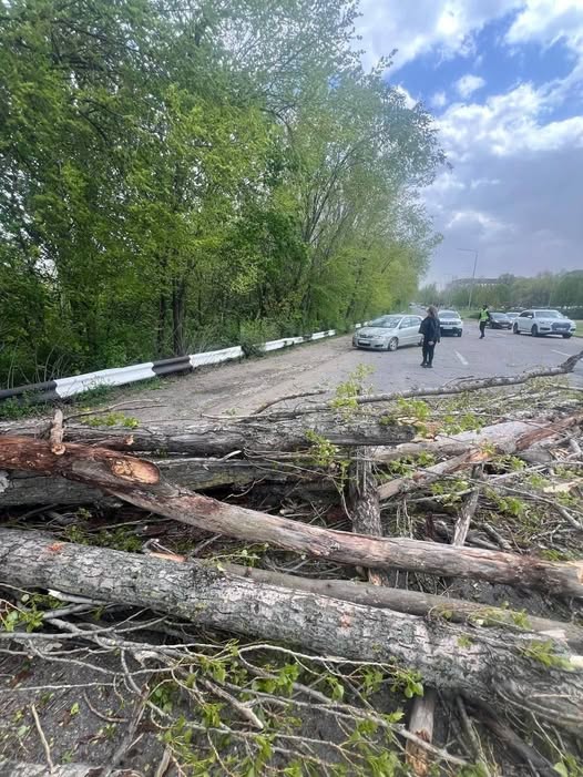 Полиция Молдовы информирует о происшествиях вследствие сильного ветра