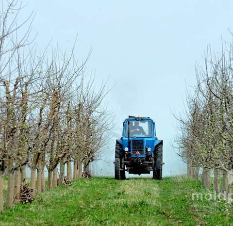Правительство Молдовы выделяет 110 миллионов леев для компенсации акциза на дизтопливо фермерам