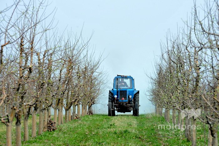 Правительство Молдовы выделяет 110 миллионов леев для компенсации акциза на дизтопливо фермерам