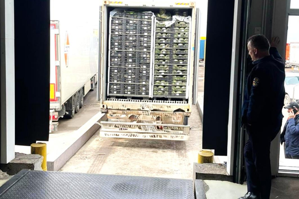 При импорте в Молдову уничтожено 11 тонн испорченных овощей