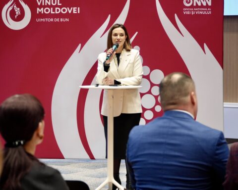 Винодельческий сектор Молдовы увеличил производство вина на 31% в 2025 году