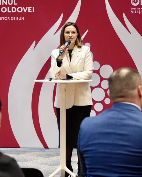 Винодельческий сектор Молдовы увеличил производство вина на 31% в 2025 году