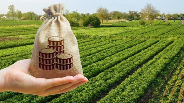 AIPA одобрило постинвестиционные субсидии аграриям на сумму 31,75 миллиона леев