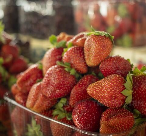 Центральный рынок наполняется местными продуктами, но цены остаются высокими