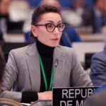 Корина Калугару назначили на должность государственного секретаря Министерства иностранных дел