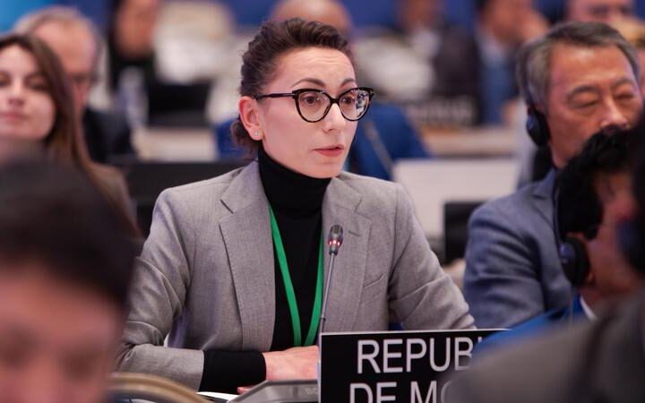 Корина Калугару назначили на должность государственного секретаря Министерства иностранных дел