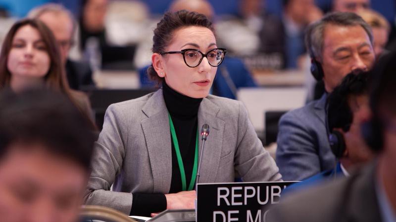 Корина Калугару назначили на должность государственного секретаря Министерства иностранных дел