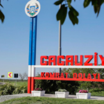 Петр Влах предложил обсудить ситуацию с Гагаузской автономией с Консультативным комитетом Совета Европы