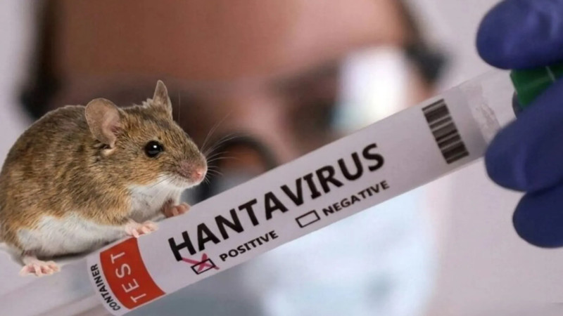 В Молдове не зарегистрировано случаев hantavirus, отмечают специалисты