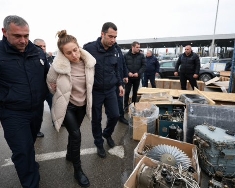 В Грузии задержана россиянка по делу о контрабанде санкционных авиационных запчастей