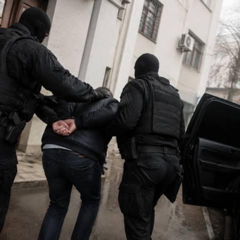 В Грузии арестованы лидеры пророссийских организаций по обвинению в шпионаже для Москвы и Тегерана