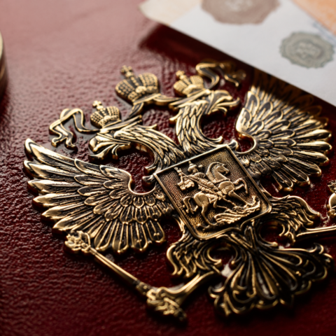 Правительство РФ вводит ограничение в 60 часов на работу самозанятых через цифровые платформы для увеличения налоговых поступлений