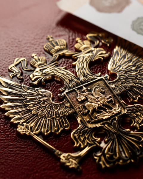 Правительство РФ вводит ограничение в 60 часов на работу самозанятых через цифровые платформы для увеличения налоговых поступлений