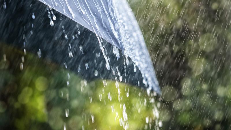 Метеорологи прогнозируют короткие дожди и температуру до 27°C в Молдове