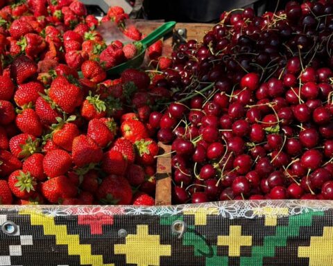 На молдавских рынках появились сезонные фрукты и овощи, представлены основные цены