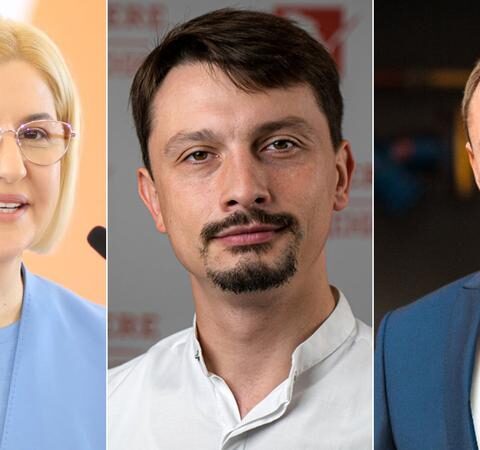 Обвинения в подкупе голосов и манипуляциях: действия Влах, Витнеанского и Гарбалэ под прицелом ЕС