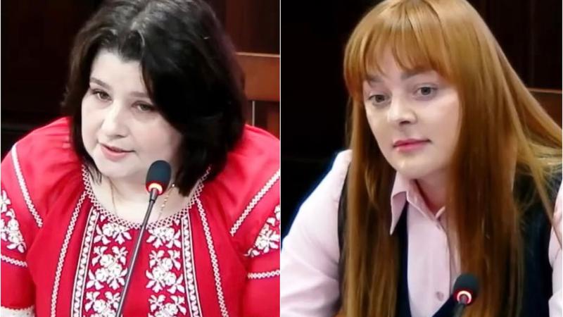 Судьи Ана Куцереску и Елена Кройтор предложены для назначения в Верховный суд