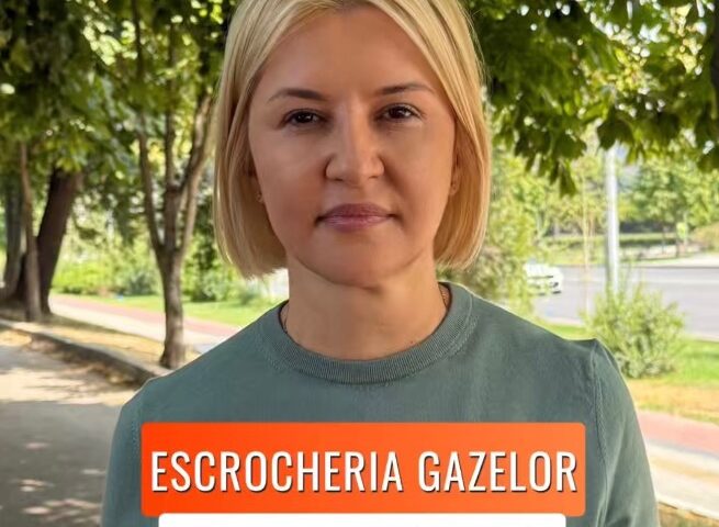 Ирина Влах требует разъяснений от Energocom по кредитам и повышению тарифов на газ