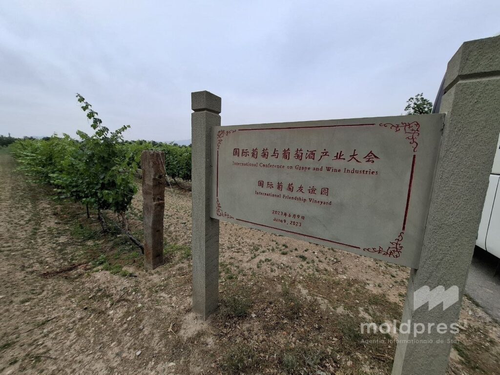 Китайские винодельни восхищаются качеством молдавского вина