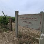 Китайские винодельни восхищаются качеством молдавского вина