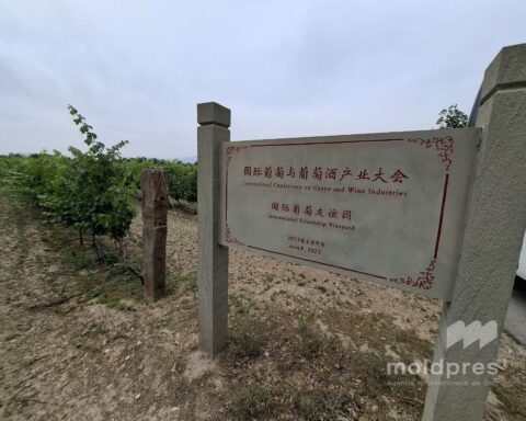 Китайские винодельни восхищаются качеством молдавского вина