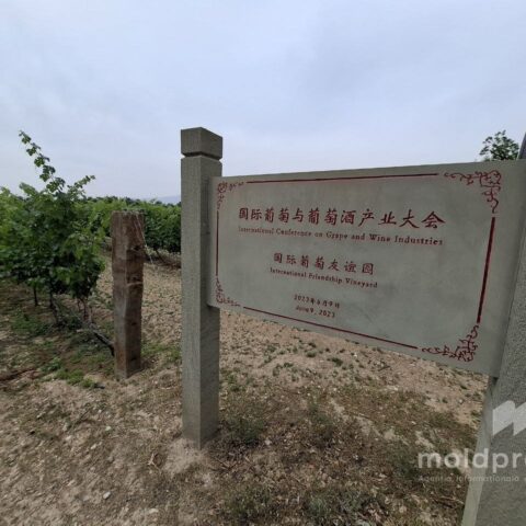 Китайские винодельни восхищаются качеством молдавского вина