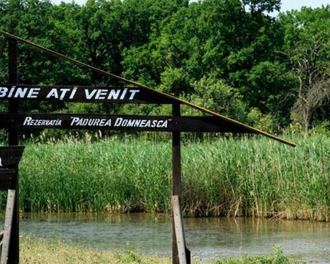 Министр экологии требует отставки директора природной резервации из-за долгов и нарушений