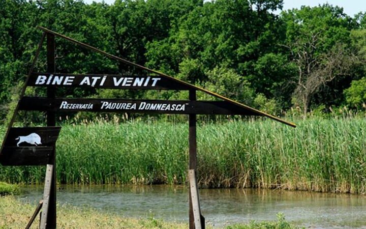 Министр экологии требует отставки директора природной резервации из-за долгов и нарушений