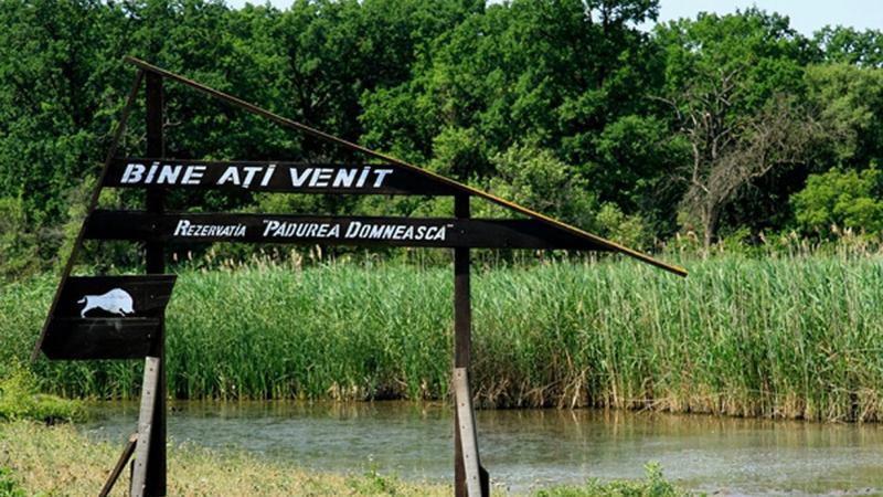 Министр экологии требует отставки директора природной резервации из-за долгов и нарушений