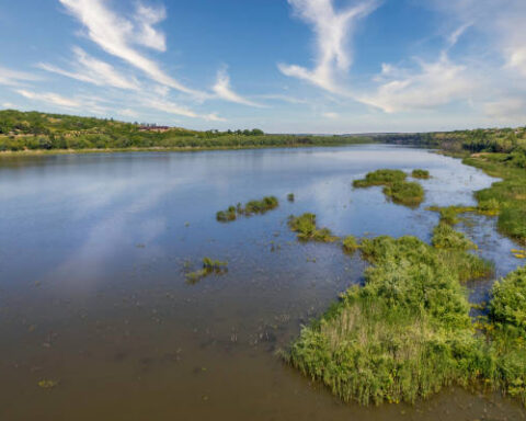 Украина планирует сократить сброс воды из Новоднестровского водохранилища до 70 м³/с для предотвращения засухи