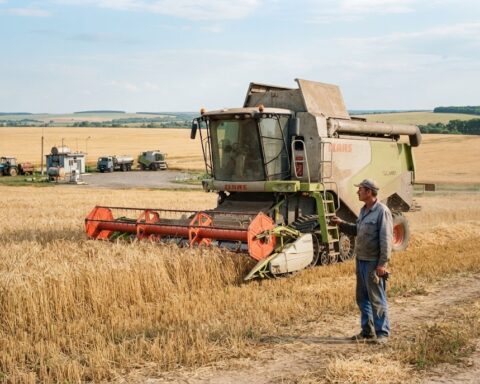 Российские аграрные хозяйства сократили производство и прибыльность в первом полугодии 2026 года