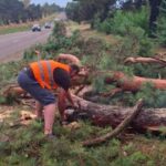 Цirkulația pe drumurile naționale reluată după reluarea arborilor doborâți