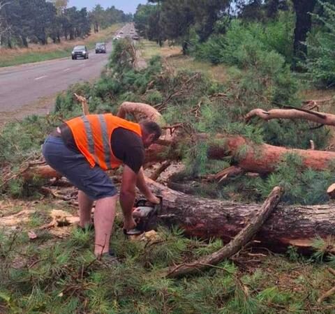 Цirkulația pe drumurile naționale reluată după reluarea arborilor doborâți