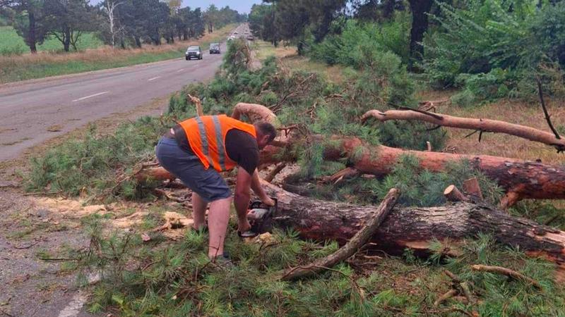 Цirkulația pe drumurile naționale reluată după reluarea arborilor doborâți