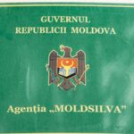 Экс-глава „Moldsilva” обязан вернуть государству 66.150 леев по решению КСЖ