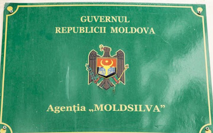 Экс-глава „Moldsilva” обязан вернуть государству 66.150 леев по решению КСЖ