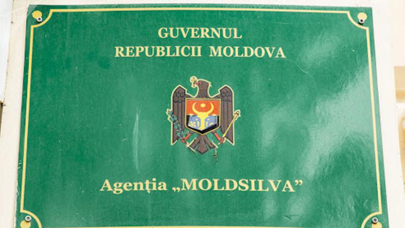 Экс-глава „Moldsilva” обязан вернуть государству 66.150 леев по решению КСЖ