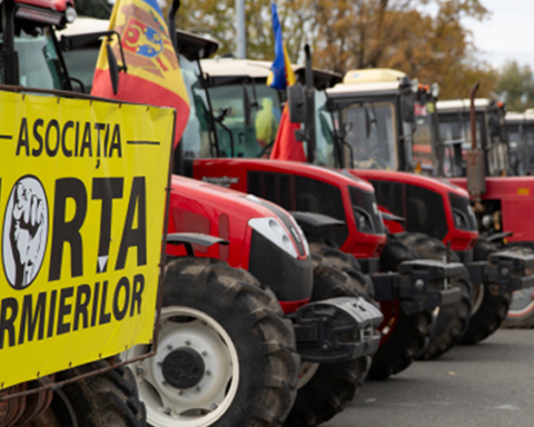 Фермеры требуют контроля за транзитом сельхозпродукции из Украины и угрожают протестами