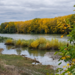 Претензия по уровням воды на реках Ниструл и Прут до 4 сентября