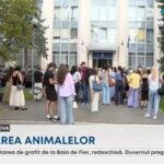 Протест в Кишиневе за защиту животных: активисты требуют ужесточения наказаний за жестокое обращение