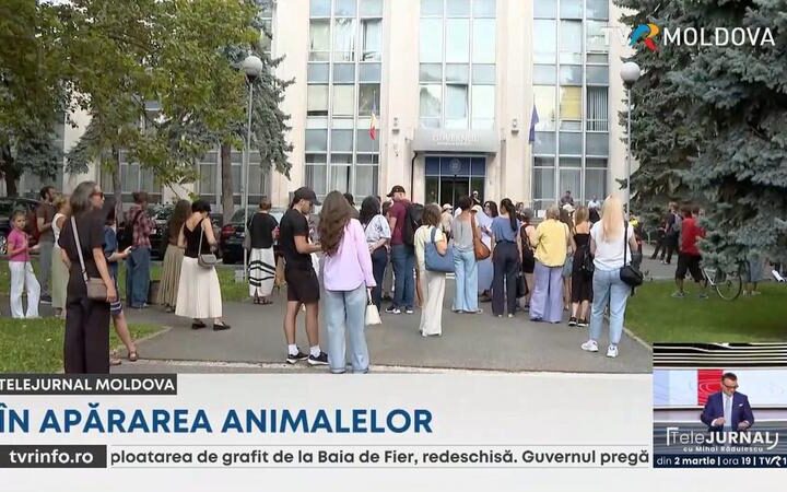 Протест в Кишиневе за защиту животных: активисты требуют ужесточения наказаний за жестокое обращение