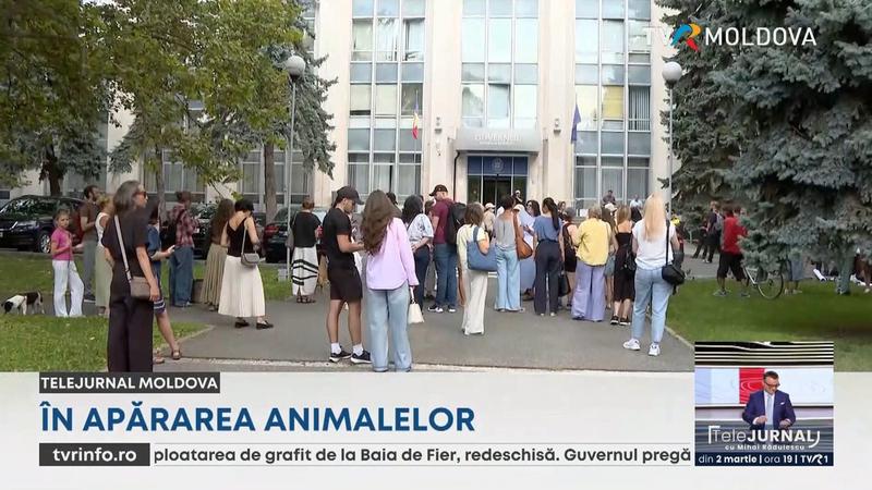 Протест в Кишиневе за защиту животных: активисты требуют ужесточения наказаний за жестокое обращение
