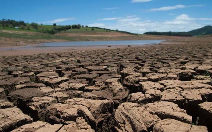 Сильная жара и засуха приводят к снижению урожаев в Европе