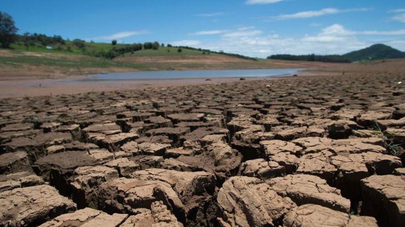 Сильная жара и засуха приводят к снижению урожаев в Европе